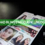 Download Bling2 Mod Apk Unlock Room